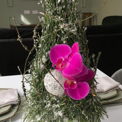 um vaso com flores roxas sobre uma mesa em Appartement au centre ville n 5 em Lourdes