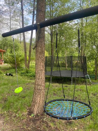 a swing set on a tree with a frisbee at Agroturystyka Gajewo in Suchowola