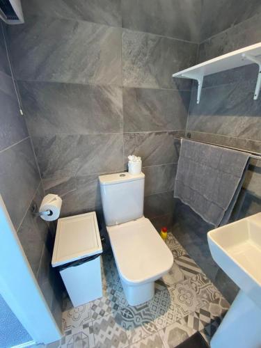 La salle de bains est pourvue de toilettes et d'un lavabo. dans l'établissement Stunning Ashbourne Log Cabin No4, à Ashbourne