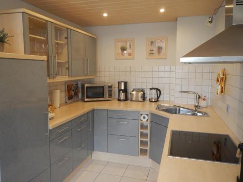 eine Küche mit einer Spüle und einer Mikrowelle in der Unterkunft Viktoria in Koblenz