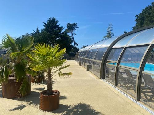 2 palmiers assis à côté d'un bâtiment dans l'établissement Cottage avec piscine à 300m de la plage, à Jullouville