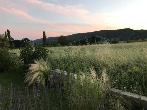 Příroda nedaleko prázdninového domu