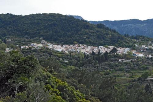 a town on top of a hill with trees at Σπίτι στην παραδοσιακή πλατεία. in Kámpos