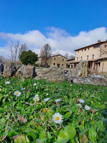 un campo di fiori di fronte a un edificio di Agriturismo Le Case ad Assisi