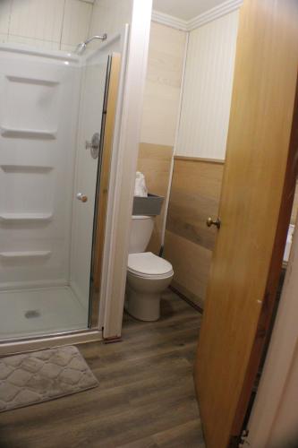 a small bathroom with a toilet and a shower at Historical Hotel - House of Ludington in Escanaba