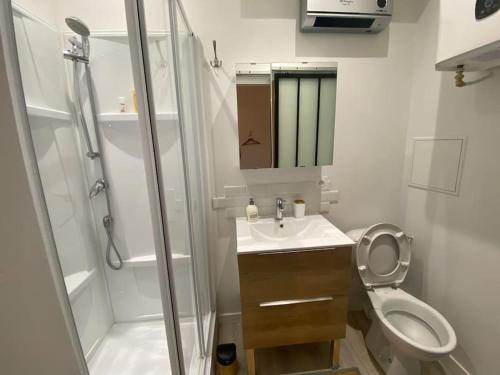 une salle de bain avec toilettes, lavabo et douche dans l'établissement Le cosy studio du canal., à Montauban