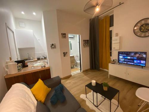 un salon avec un canapé et une télévision à écran plat dans l'établissement Le cosy studio du canal., à Montauban