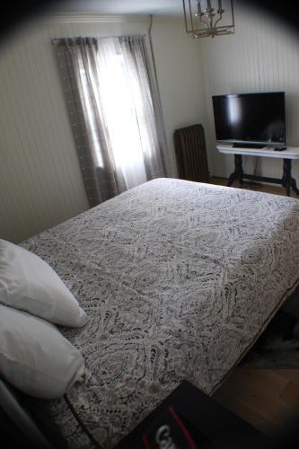 a bedroom with a bed and a television and a window at Historical Hotel - House of Ludington in Escanaba