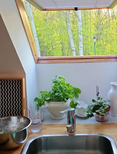 Gambar di galeri bagi Wohnung am Meer mit Garten di Stralsund