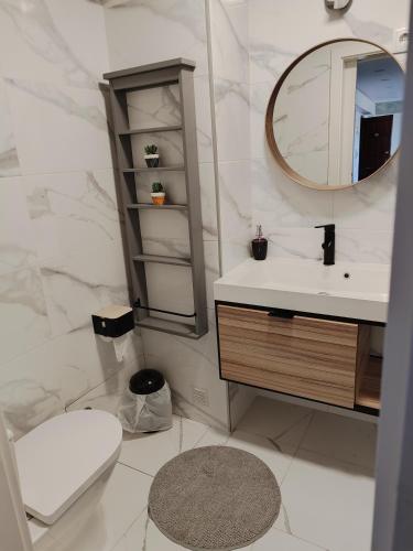 a bathroom with a sink and a toilet and a mirror at zélu apartamento centro da Guarda in Guarda