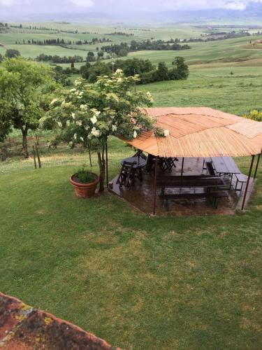 a pavilion with a picnic table and a tree at Villa Fonte all'Oppio con area piscina recintata in Pienza