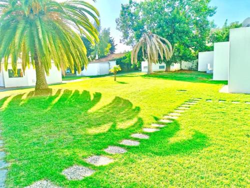 a garden with a palm tree and a path at Resort Albufeira T1, Praia da Oura in Albufeira