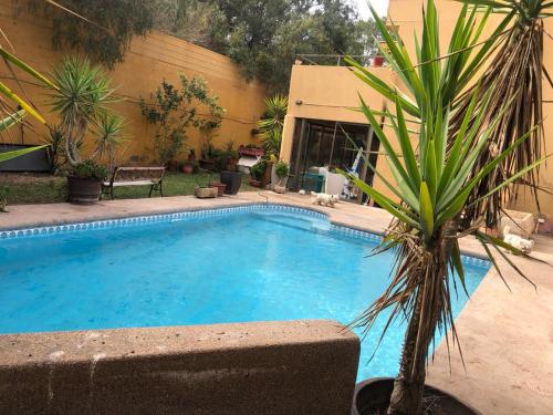 una piscina con una palmera al lado de un edificio en Azhares, en Copiapó