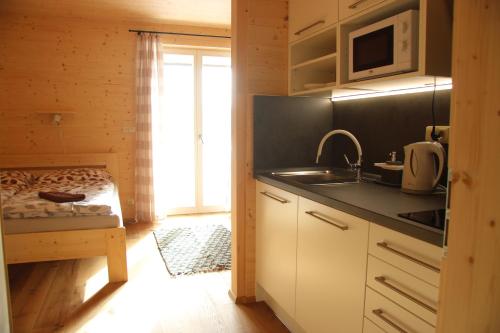 a kitchen with a sink and a microwave at Ubytování U Křížku in Modrava