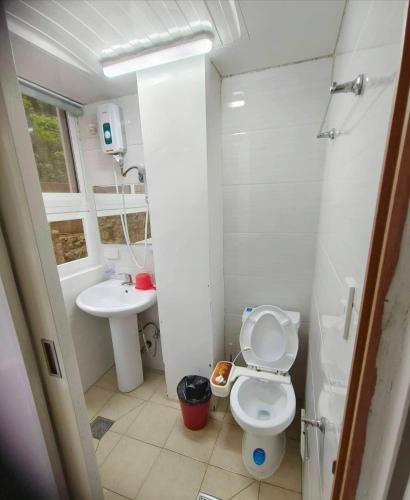 a small bathroom with a toilet and a sink at Studio Condo near Burnham in Baguio
