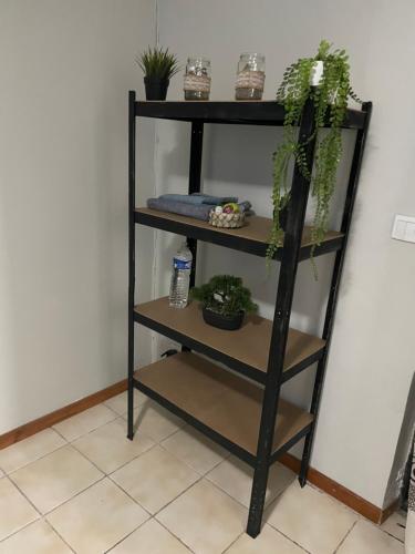 a black shelf with potted plants on it at Le Zonappart in Pamandzi