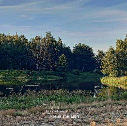 a pond in a field with trees in the background at Cieślówka in Leżajsk
