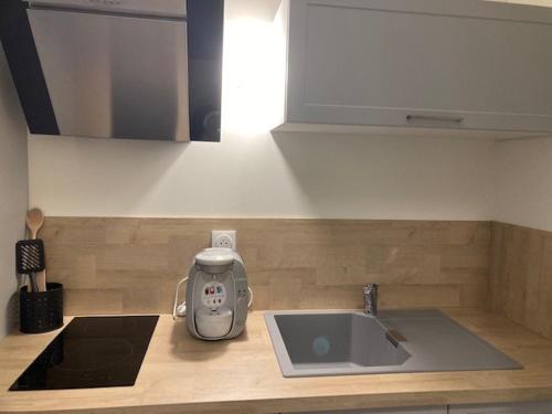 Dapur atau dapur kecil di Studio 2 personnes - proche circuit