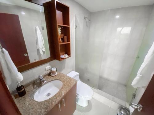 W łazience znajduje się umywalka, toaleta i prysznic. w obiekcie Gran suite en Samborondonķo w mieście SamborondÃ³n