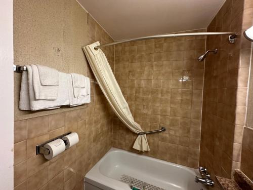een badkamer met een bad, een douche en handdoeken bij HOTEL CLASSIC COMFORT in Cornwall