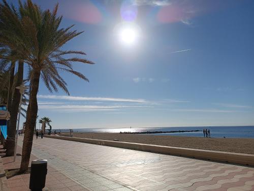 una playa de arena con palmeras y el océano en Veguita 2: piso renovado a 3 min de la playa, en Almería