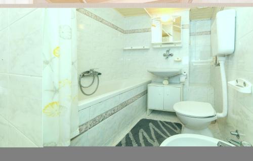 Koupelna v ubytování Stunning Apartment In Kastel Kambelovac With Wifi