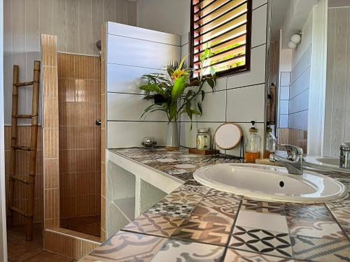 a bathroom with a sink and a shower at Bungalow vue mer avec jardin in Sainte-Luce