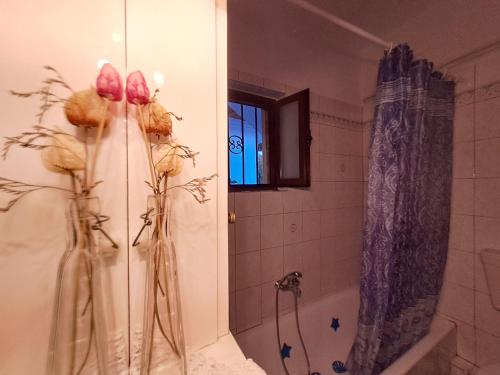 baño con ducha y 2 jarrones con flores en Kontolati's Mountain House, en Graviá