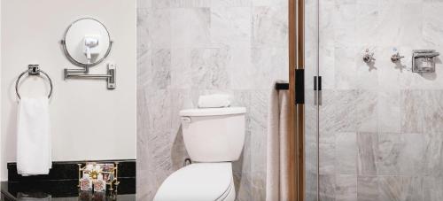 a bathroom with a toilet and a shower at CASA MAYES in Pátzcuaro