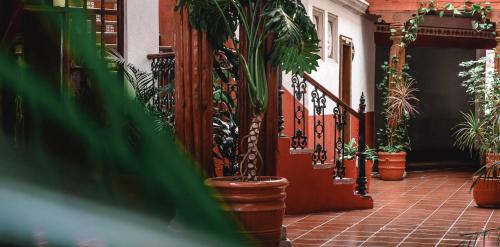 un couloir avec des plantes en pot dans un bâtiment dans l'établissement CASA MAYES, à Pátzcuaro