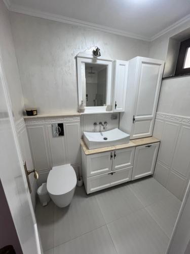 a white bathroom with a toilet and a sink at Apartament in Botosani in Botoşani