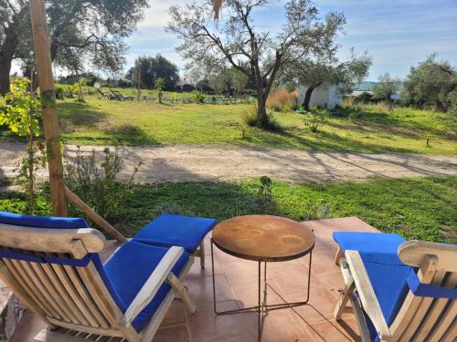 a patio with two chairs and a table and a field at casa entre mer et montagne in Arcos de la Frontera
