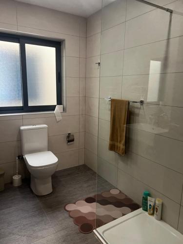 a bathroom with a toilet and a glass shower at Luqa 3 bedroom penthouse T in Luqa