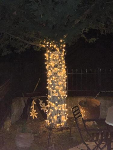 a lit up tree with lights on it at night at Stonehouse dome Lagadia in Lagadia