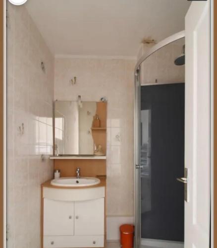 une salle de bain avec un lavabo, un miroir et une douche dans l'établissement Appartement Biscarrosse plage front de mer 4 personnes, à Biscarrosse-Plage