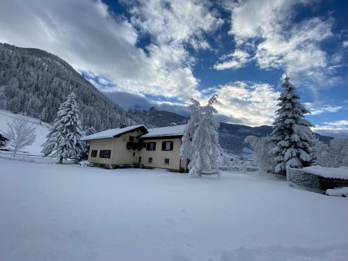 a house in the snow with snow covered trees at Apartment Haus Christina in Großkirchheim