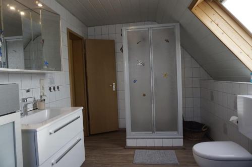 a bathroom with a shower and a sink and a toilet at Apartment Christina in Weingarten