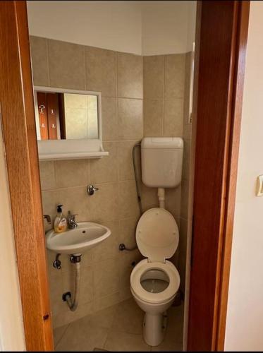Baño pequeño con aseo y lavamanos en Modern and homely family house., en Cetinje