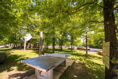 a picnic table in a park next to a tree at Cozy Carlton Landing Home - Pools and Lake Access in Canadian