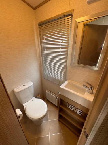 a small bathroom with a toilet and a sink at Golden Sands, Ingoldmells, 6 berth in Ingoldmells