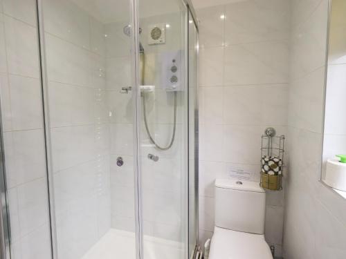 een witte badkamer met douche en toilet bij Corner Cottage in Troutbeck