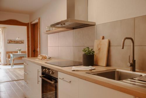 a kitchen with a sink and a counter top at Staudingerhof in Staudach-Egerndach