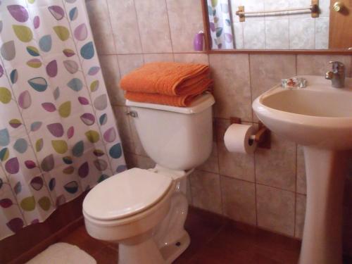 a bathroom with a toilet and a sink at Cabañas Tokerau in Hanga Roa