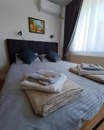 Postel nebo postele na pokoji v ubytování Stan na dan Drinska noć -Zvornik
