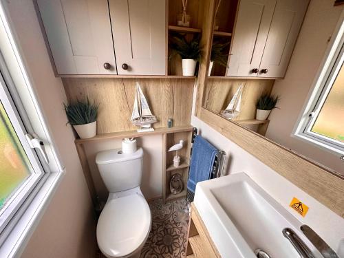 Baño pequeño con aseo y lavamanos en The Boat House, Hot Tub Lodge, en South Cerney