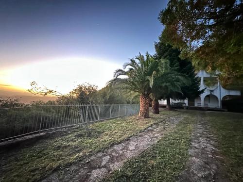 a yard with two palm trees and a fence at Villa il Vecchio Abete in Raccuia