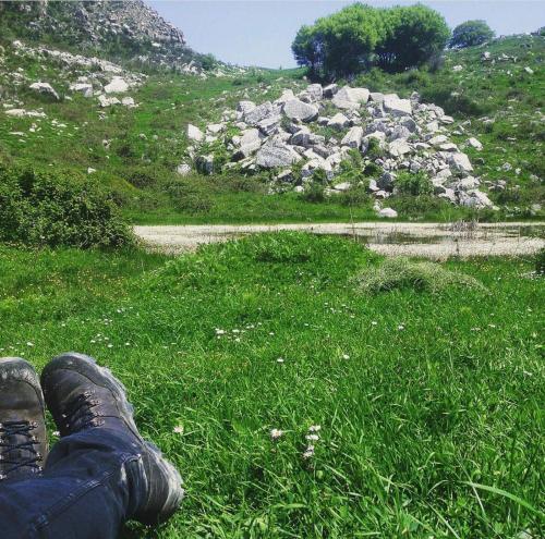 a person laying in the grass with their foot on a field at Villa il Vecchio Abete in Raccuia