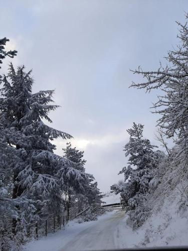 a road covered in snow with trees on it at Villa il Vecchio Abete in Raccuia