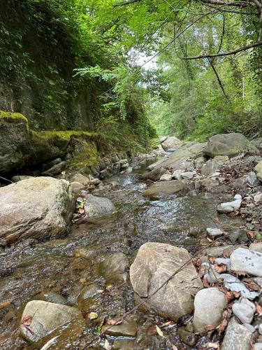 a stream of water with rocks and trees at Villa il Vecchio Abete in Raccuia