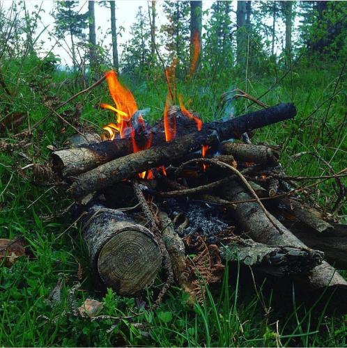a pile of logs and a fire in the grass at Villa il Vecchio Abete in Raccuia